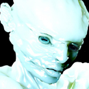  Sheep (Hood By Air FW 15) - Arca