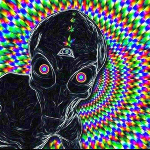 Unknowns Psychedelic Music Vol.1 - 2000 (Various Artists)